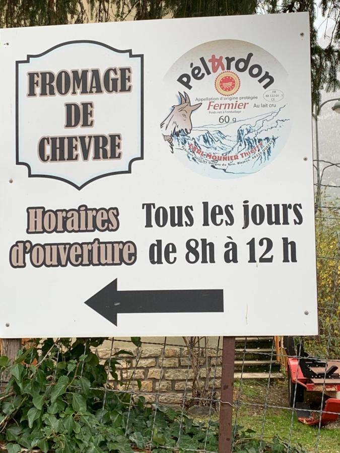 La Voutee 5 Epis Avec Bain Finlandais Prive Au Manoir Du Charme Gorges Du Tarn Bed and Breakfast Quezac  Buitenkant foto